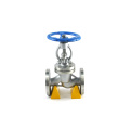 Forged steel medium temperature din bellow sealed forged globe valve 800#